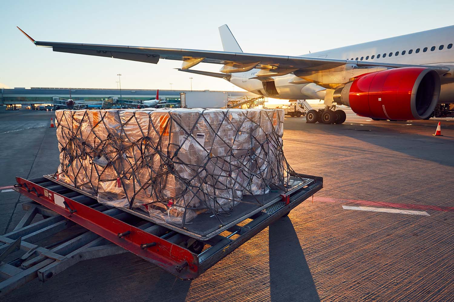 How global life sciences logistics is affected by air transport disruptions